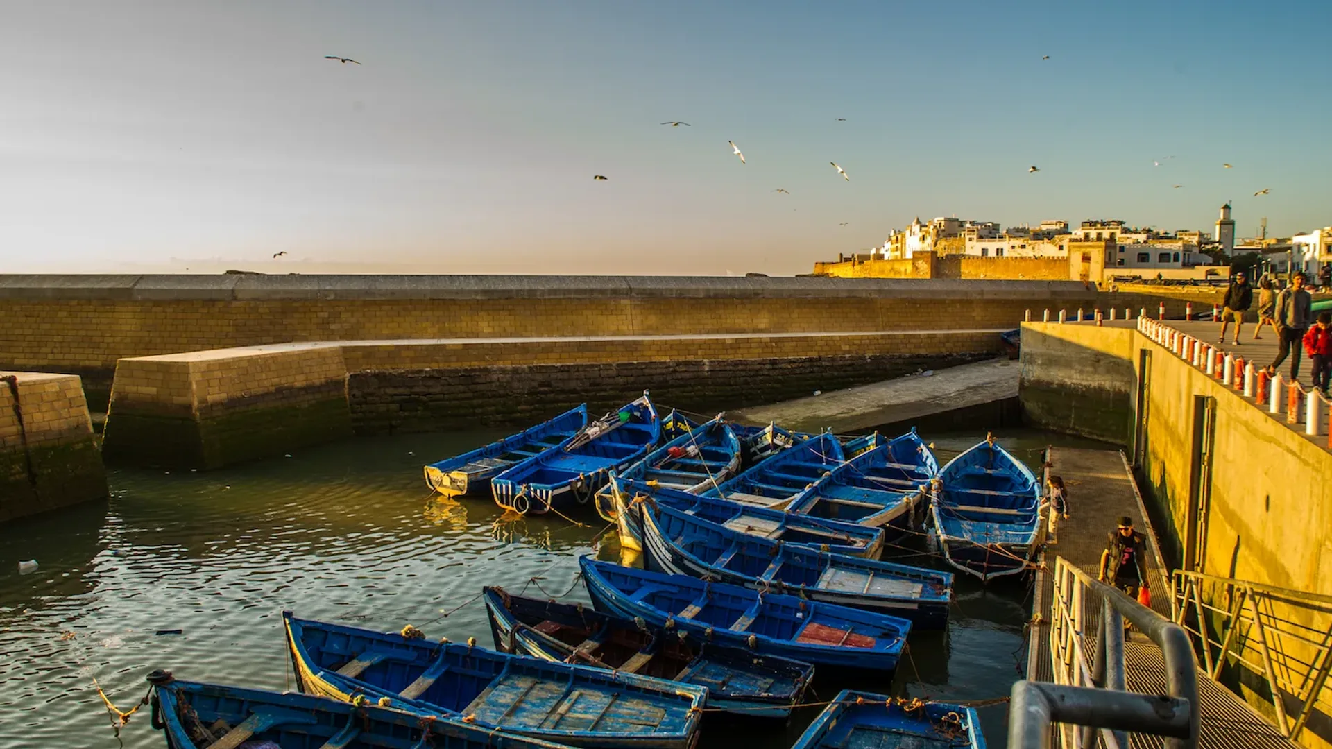Blue fishing boats in Essaouira's harbour with the medina ramparts behind