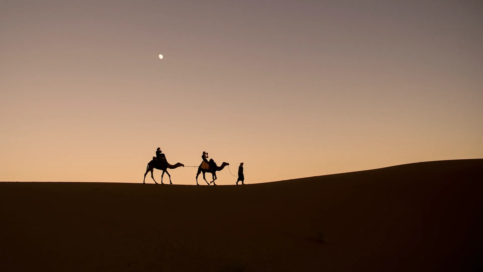 Camel caravan crossing the Erg Chebbi dunes near Merzouga at sunset