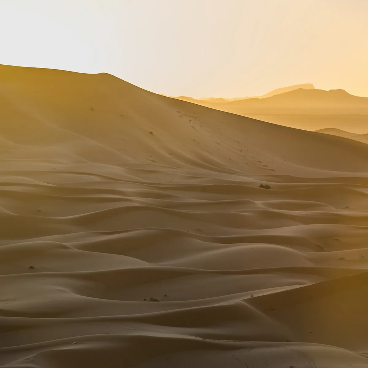 Sahara (Merzouga)